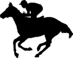   Reiten Logo 