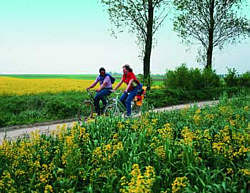   Rahrradfahren im Hunsrueck 